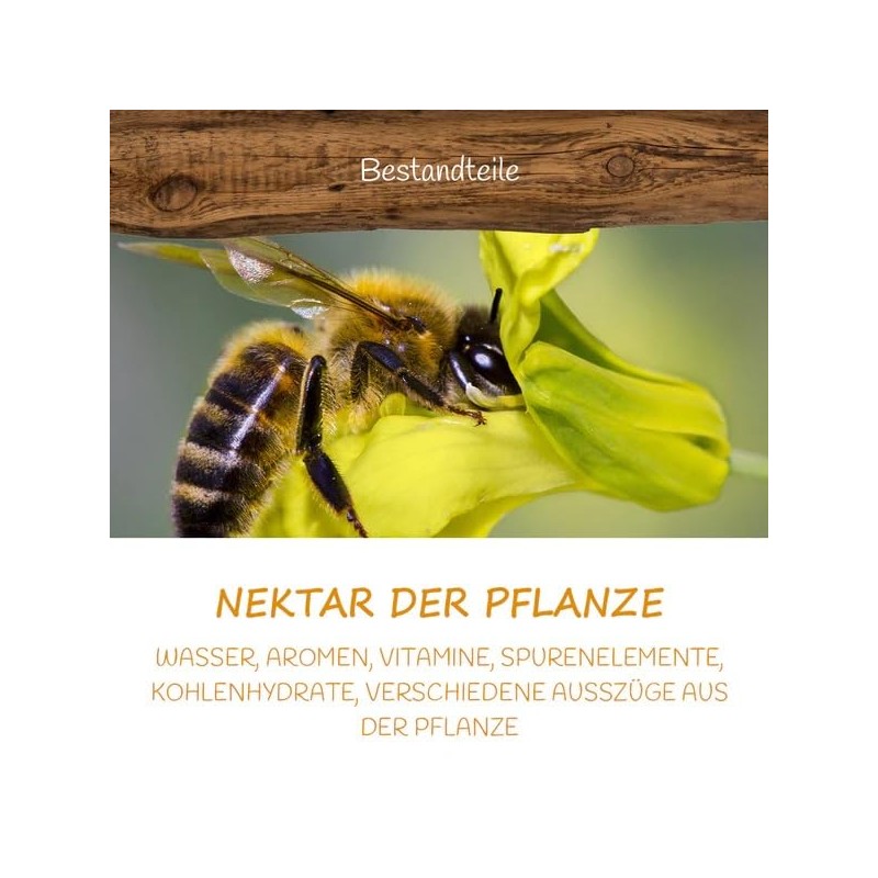 Allgäuer Wanderimkerei Distelhonig cremig 500g I traditionelle Herstellung I cremig