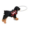 GabeFish Ring Harness for Dog, Adjustable Dog Ring, Bumper Guards