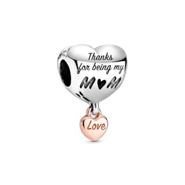 Lkwidi Charm Family Heart Animal Charm Pendant 925 Sterling Silver Charm Bead Pendant for European Bracelets and Necklaces, Silver, Cubic Zirconia