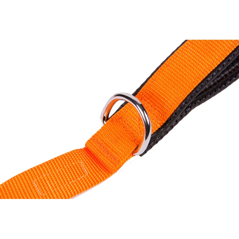 GOGO Pet Products 1-Inch Wide Comfy Nylon Dog Leash, 6-Feet