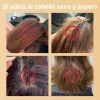 Natural Shampoo De Jengibre El Crecimiento Del Cabello 240ml