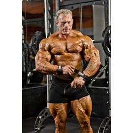 Schiek Sports Model 1000PLS Power Weight Lifting Straps - Camo