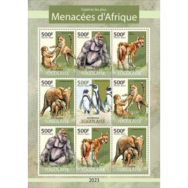 Togo - 2023 African Endangered Species, Gorilla, Wolf - 9 Stamp Sheet TG230249f19
