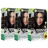 Garnier Hair Color Nutrisse Ultra Coverage Nourishing Hair Color Creme,