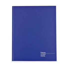 Blueline Columnar Book, Perfect Binding, 20 Columns with Description, 80 Pages, 12-1/4" x 9-7/8", Blue (A1740.20)