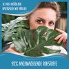 cosmea Panty Liners Long - All Fibres Plastic-Free - Value