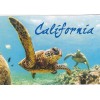 FUN IN CALIFORNIA, One 1 Card CAL 1283, In Clear