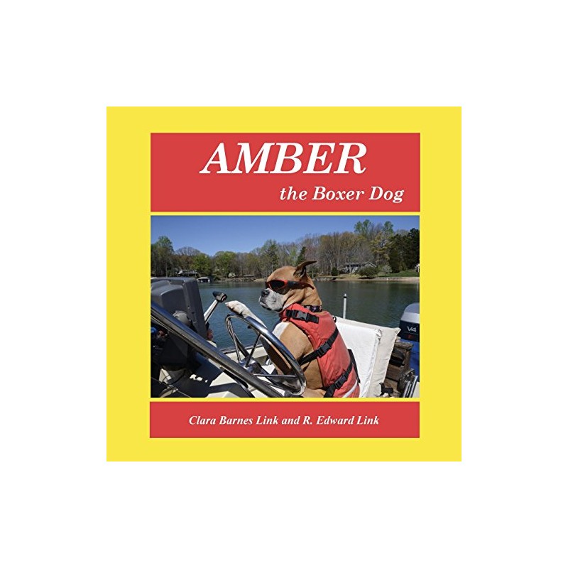 Amber the Boxer Dog