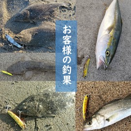 TOTOMOKA Metal Jig, Sea Bass Flounder Lure, Set of 6, Jigs, 0.3 oz (10 g), 0.5 oz (15 g), 0.8 oz (20 g), 0.8 oz (20 g), 0.8 oz (20 g), 0.8 oz (20 g), All-Star