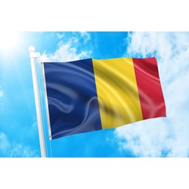 DMSE Romania Romanian National drapelul României Flag 3X5 Ft Foot 100% Polyester 100D Flag UV Resistant (3' X 5' Ft Foot)