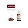 Arbora 2 Pack Aceite Esencial de Clavo 100% PURO |