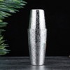 Boston Martini Cocktail Shaker Bar Set, Drinking Stainless Steel, Solid
