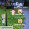 Simba Lighting LED G4 Bulb (10 Pack) 1.1W T3 10W