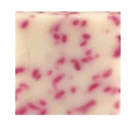 Handmade Soap Bars Organic Shea Butter Artisan Cold Processed - 4.5 oz. - YOU CHOOSE! (Petal Dance)