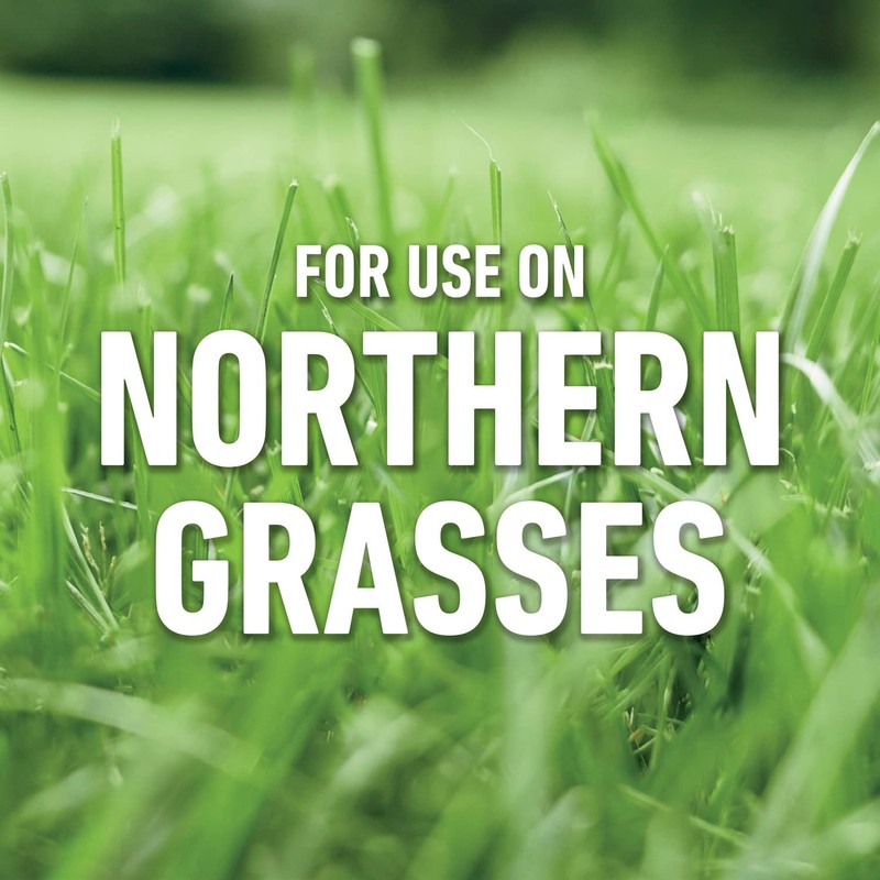 Roundup for Lawns₂ Concentrate, Weed Killer for Northern Grasses, Kills