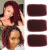 DÉBUT Afro Kinky Bulk 100% Human Hair Burgundy 3 Packs