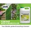 Liquid Harvest Vinegar Weed & Grass Killer - Gallon -