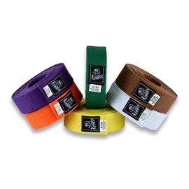 Fadi Sports Revansh Martial Arts Belt - Uniform Rank Belt for Karate, Judo, Aikido, Taekwondo - Unisex Belt for Kids Adults (Yellow, 4)