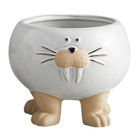 47th & Main Flower Indoor Plants | Animal Shaped Ceramic Planter Pot, 4" Dia x 4.5" H, White Walrus