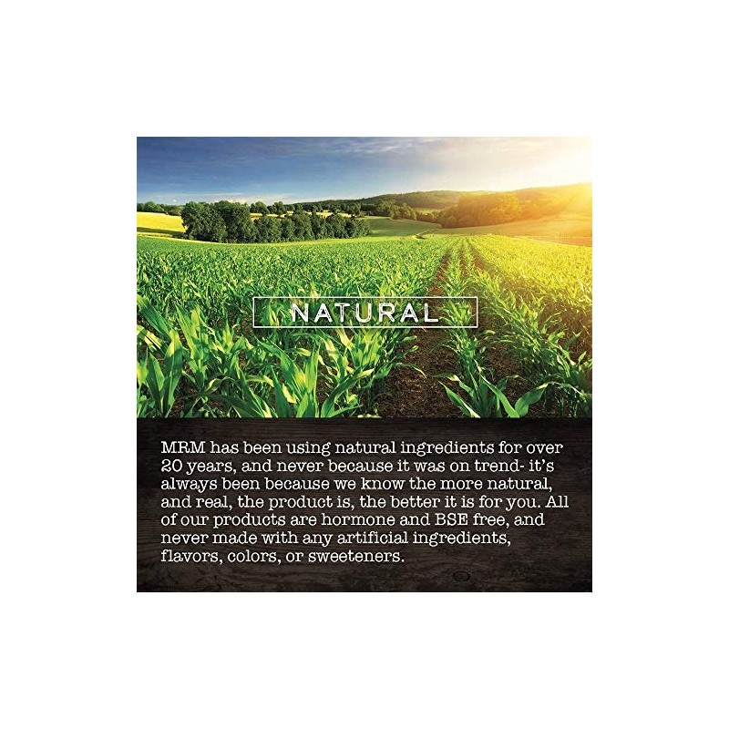 MRM - Acetyl L-Carnitine - 500mg Per Capsule 60 Vcaps