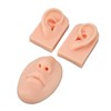 3D Nose and Mouth Model Silicone Ear Model Simulation Display