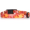 petexio (Petio) CC Star Color Red Medium