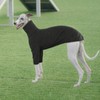 Greyhound Jumper, Pullover Greyhound Pajamas Lurcher Shirt Dog Sweatshirts Dog