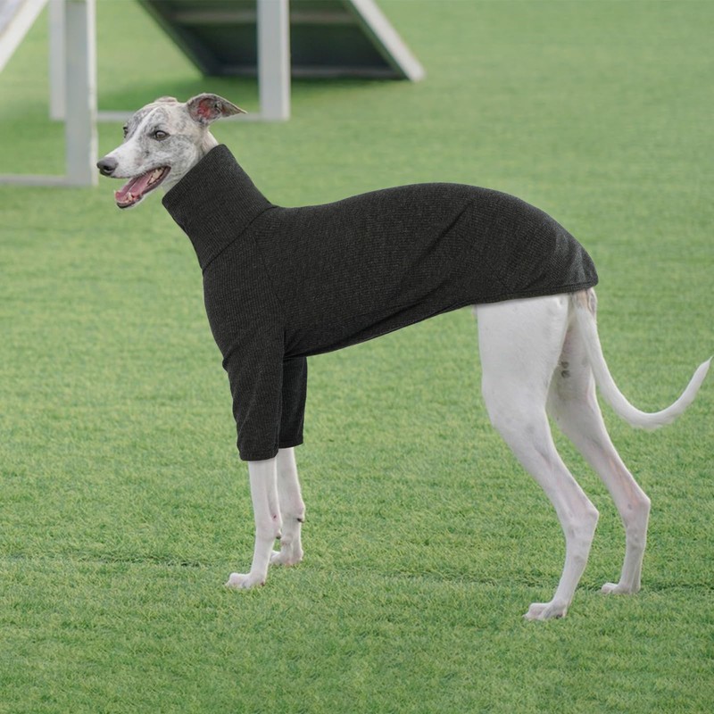 Greyhound Jumper, Pullover Greyhound Pajamas Lurcher Shirt Dog Sweatshirts Dog