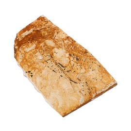 CIYODO Paleontological Fish Specimen Decoration Wolf Finned Fish Teaching Ornament for Science Education Unique Ancient Sea Creature Display for Collectors and Classroom Use