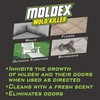 Moldex Moldex 5010 Mold Killer Spray, 32 oz