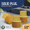 Supply Giant CSTQ0012 1/2-Inch Male National Pipe Taper Threads Brass