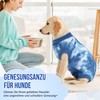 Eyein Dog Bodysuit After Op, Breathable and Comfortable Onesie for