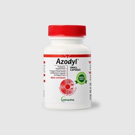 Azodil 90 capsules, 90 tablets, kidney, 1 unit / 아조딜 90캡슐, 90정, 신장, 1개