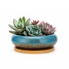Succulent Pots with Wooden Tray: 7.5" Large Shallow Planter with