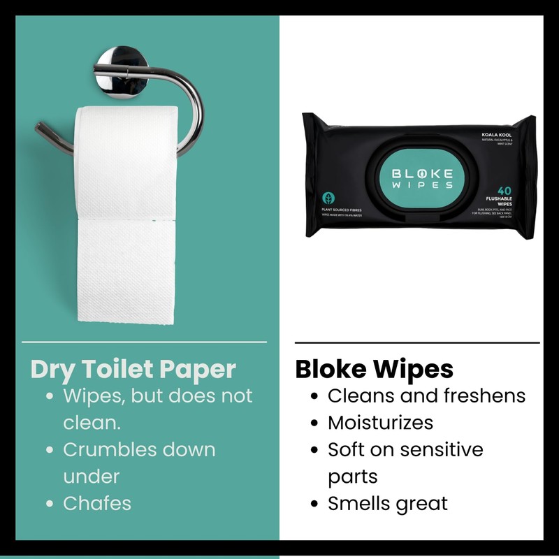 Bloke Wipes Flushable Wipes For Men (1 Pack, 40 wipes)