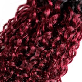 1B/99J Hair Bundles Ombre Curly Wave 3 Bundles Dark Roots Tow Tone Hair Bundles Black To Burgundy 1b99J Hair Brazilian Remy Human Hair Bundles Hair 3 Bundles 18 20 22 inch