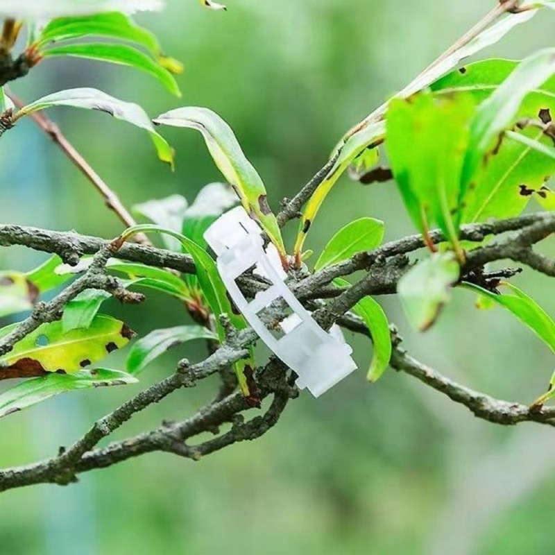 Dladhict 100PCS Secured Plastic Plant Clip, Upgrade Grape and Tomato