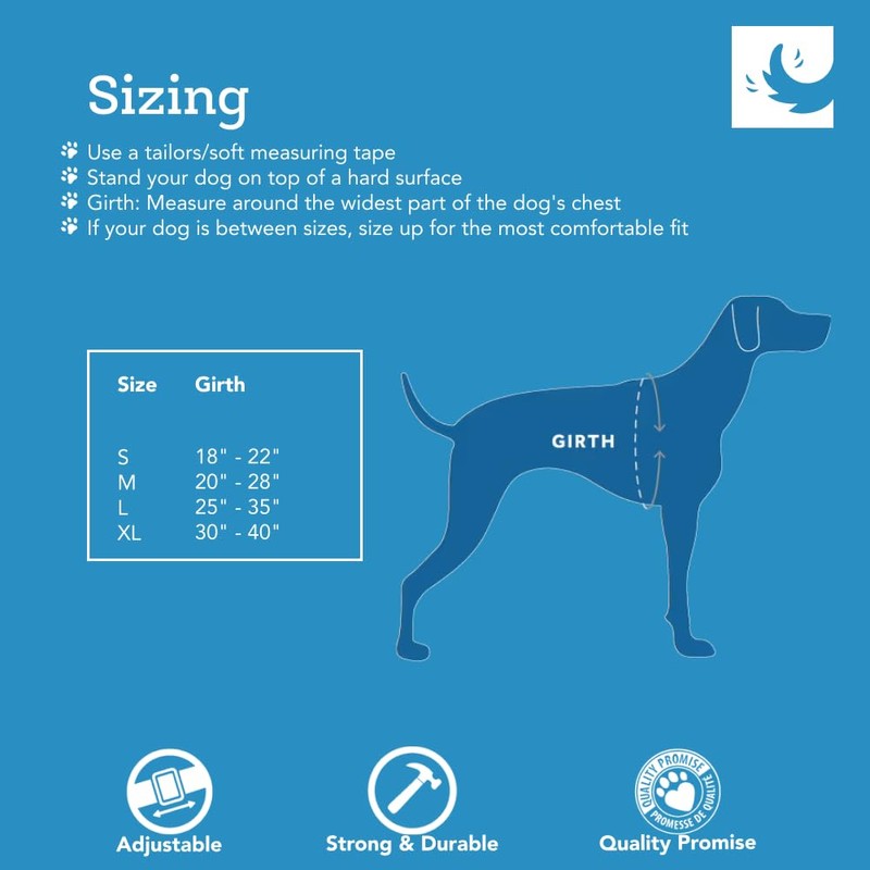 RC Pet Products Momentum Dog Harness, X-Large, Dark Teal