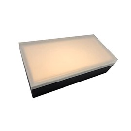 Paver Light 4×8 inch, Low Voltage 12V AC/DC, Perfect for Glowing Accents Along Driveways & Pathways, Drive Over, Glare-Free, Stainless Steel, Waterproof, 2700k (by Lumengy)