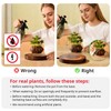 CENTRALEV Magnetic Levitating Plant Pot with LED Light, 360° Rotating