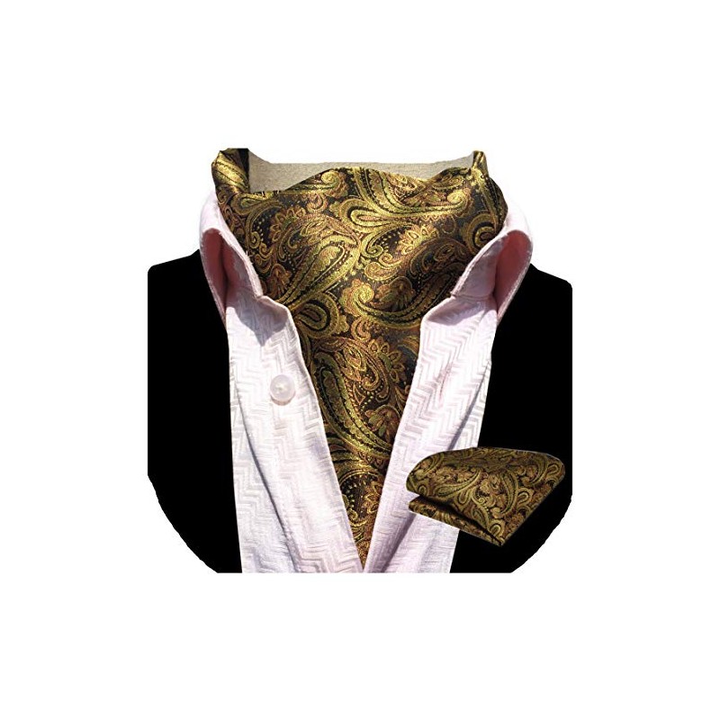 GUSLESON Men's Ascot Paisley Floral Jacquard Woven Gift Cravat Tie