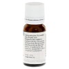 Rhus Toxicodendron D 30 Globules