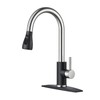 FORIOUS Kitchen Faucets with Pull Down Sprayer, High Arc Single