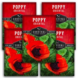 Survival Garden Seeds 5 Packs Oriental Poppy for Planting - Seed Packet with Instructions to Grow Papaver Orientale in Your Home Flower or Vegetable Garden - Non-GMO Heirloom Variety