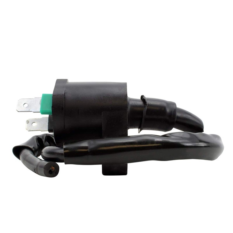 RMSTATOR Replacement for External Ignition Coil Can-Am DS 250 /