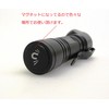SIGHTRON(サイトロン) LEDライト ブライトテック(BRIGHT-TECH) EX100AL 明るさ100ルーメン 防水 SOSモード 点滅モード搭載 BT1007