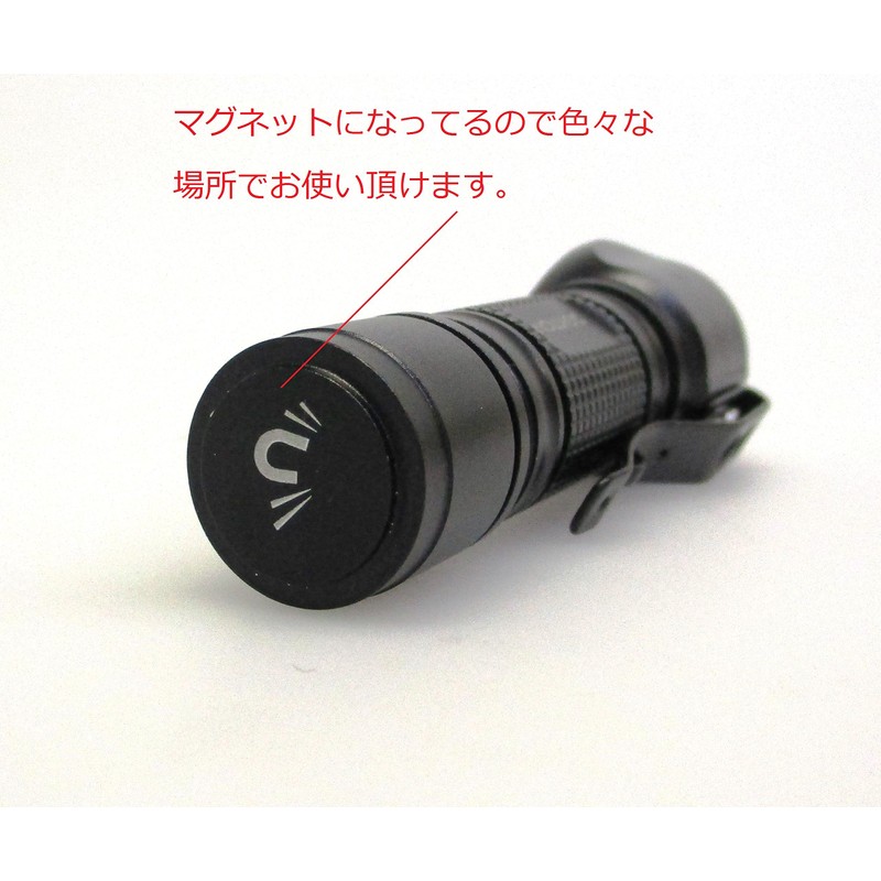 SIGHTRON(サイトロン) LEDライト ブライトテック(BRIGHT-TECH) EX100AL 明るさ100ルーメン 防水 SOSモード 点滅モード搭載 BT1007