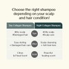 Treecell [Treecell]Day Collagen Shampoo Morning of Resort 120ml