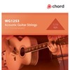 chord WG1253 Acoustic Guitar String