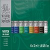 Winsor & Newton 1490619 Jgo.Oleo Winton P/Prin. C/ 10 10375